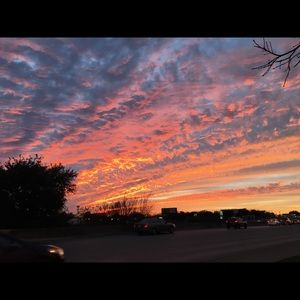 Meet your Posher, Max